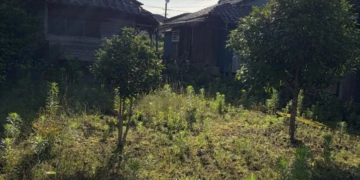 現地写真