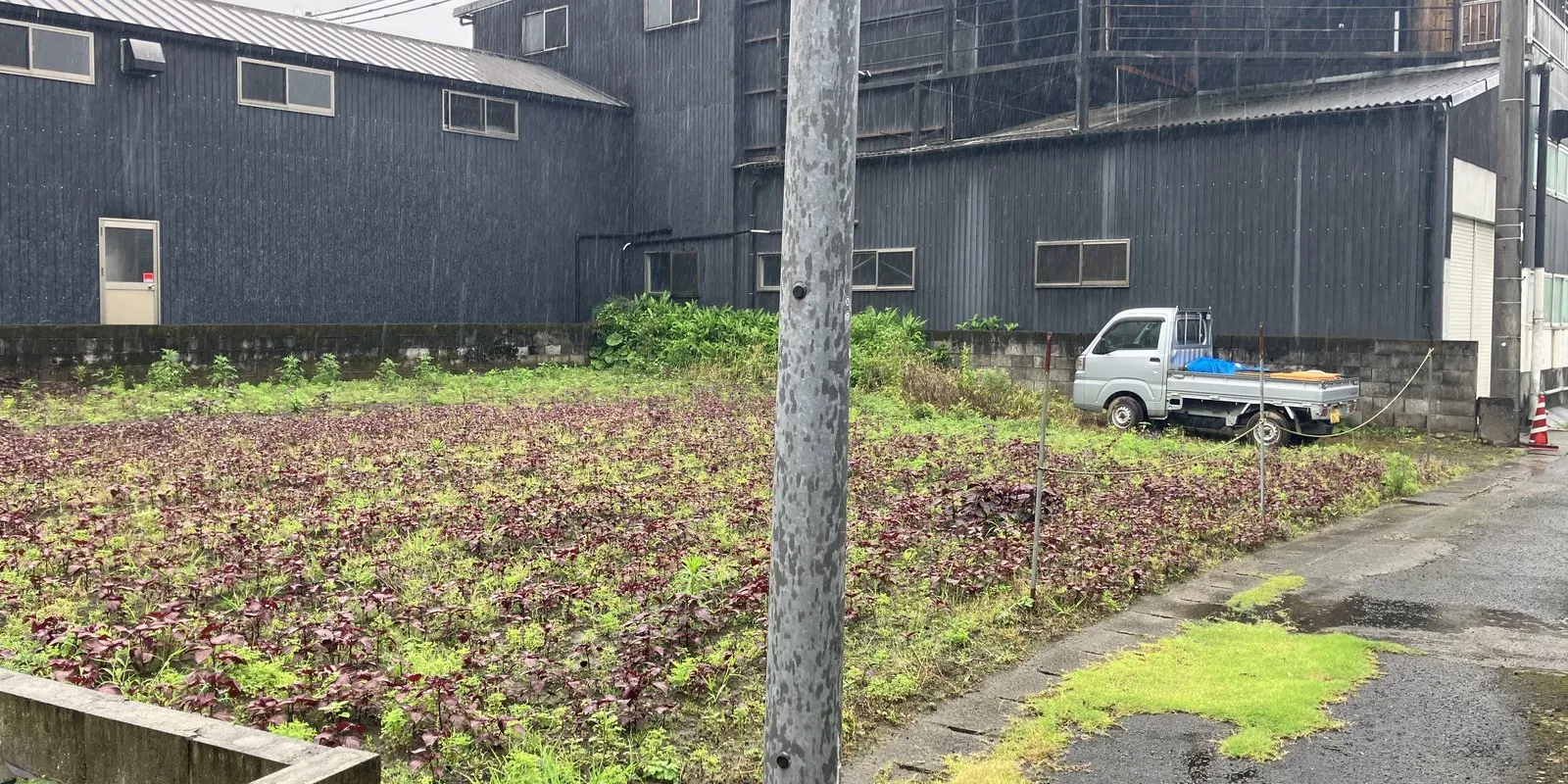 現地写真