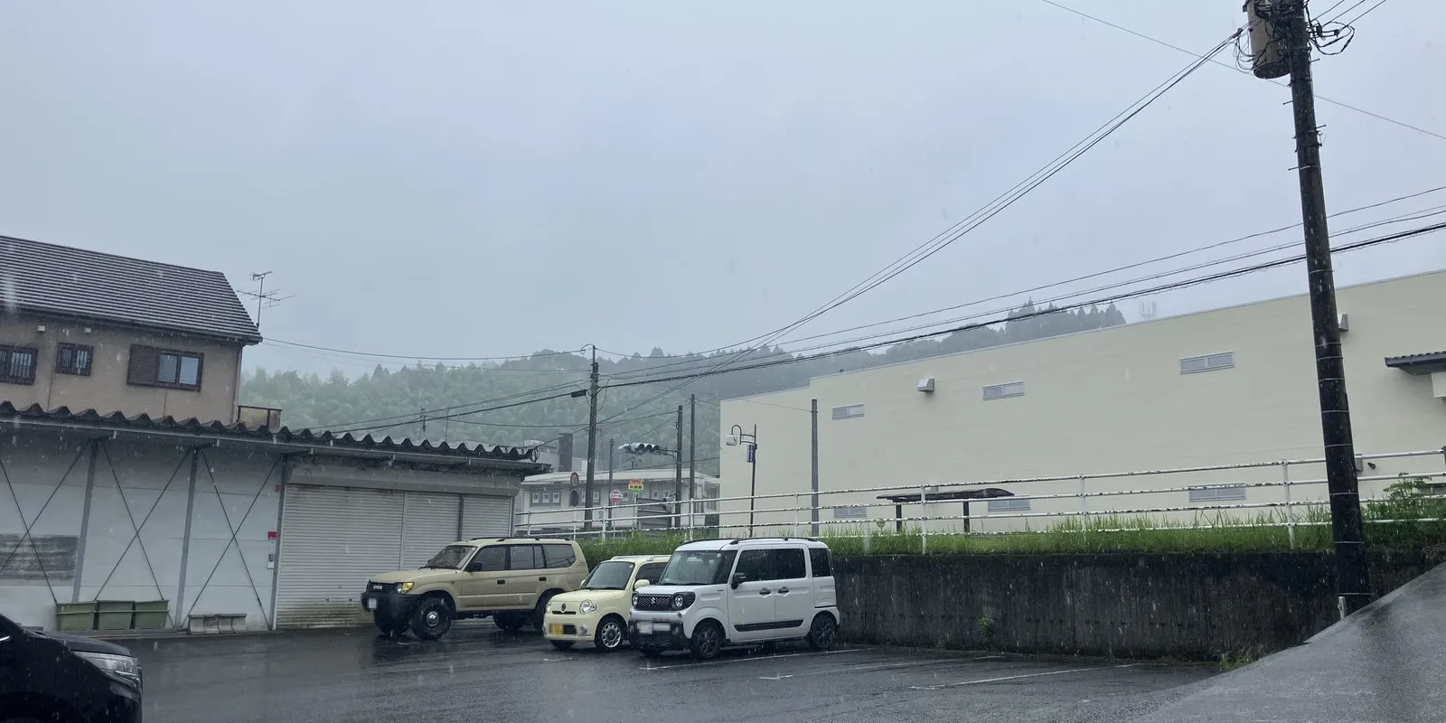 現地写真