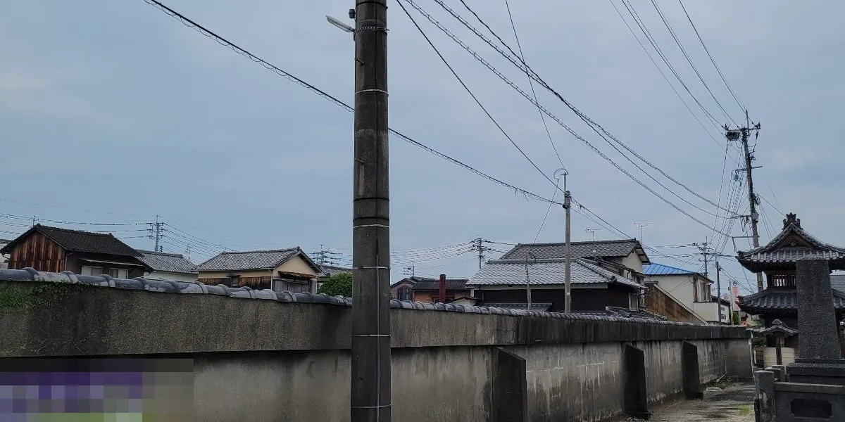 現地写真